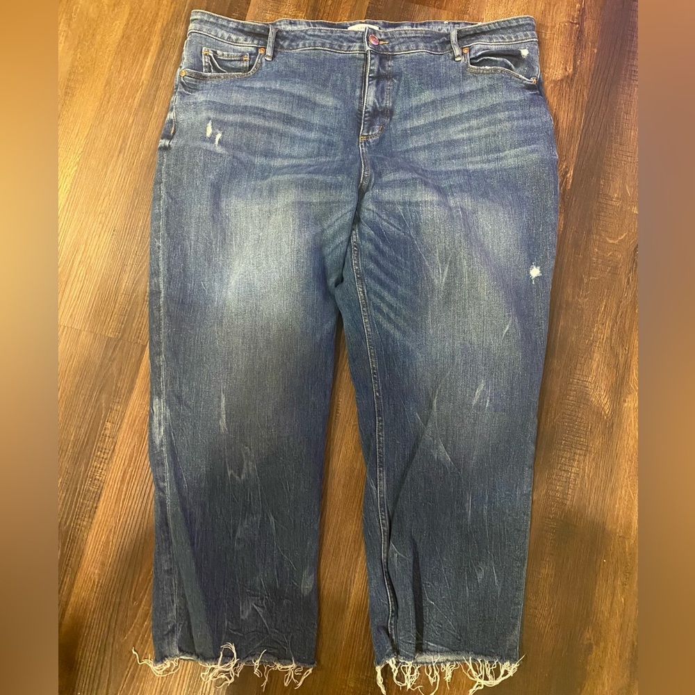 Loft, Plus size jeans